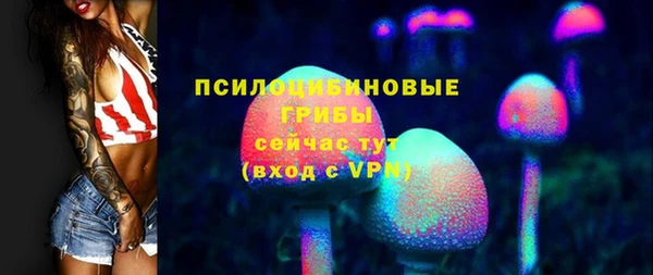 соль ск Зерноград