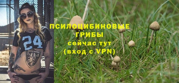 дживик Зеленодольск