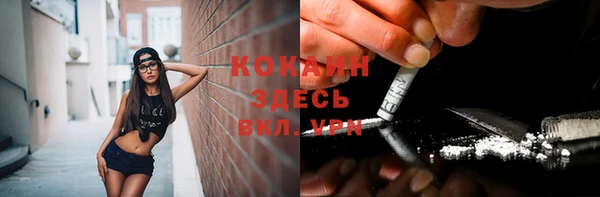 соль ск Зерноград