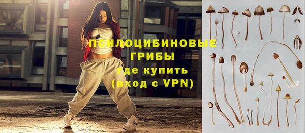 a pvp Зеленокумск