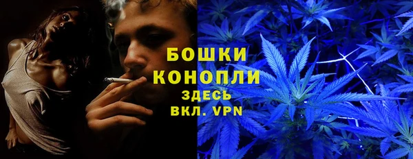 a pvp Зеленокумск