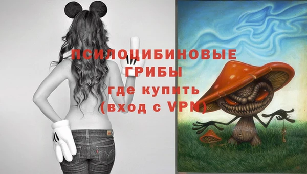 соль ск Зерноград