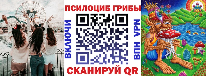 Купить где  Иланский  Псилоцибиновые грибы Psilocybe 